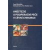 Anestezie a pooperační péče v cévní chirurgii - Kolektiv autorů