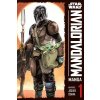 Star Wars: Mandalorian 1