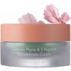 HARUHARU WONDER Centella Phyto & 5 Peptide Concentrate Cream 30 ml