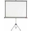 Prenosné projekčné plátno, s podstavcom, 43, 175x133 cm, NOBO