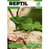 Reptil Magazin 6 - Listopad/Prosinec 2024