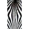 Dimex fototapeta Zebra S-506 | 110 x 220 cm (Vliesová fototapeta | lepidlo zdarma)