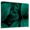 Jansen Display Oboustranný Zelené listy rostlin 150 x 150 cm