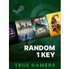 True Gamers Random 1 Key (PC) Steam Key 10000504105001