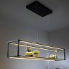 Paul Neuhaus LED závesné svietidlo Conni od Paula Neuhausa, čierna, 105 cm - 2441-18