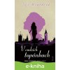 E-kniha V cudzích topánkach - Jojo Moyes