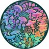 RAVENSBURGER Okrúhle puzzle Kruh farieb: Huby 500 dielikov