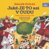 Svěrák Zdeněk: Jaké je to asi v Čudu - 2CD