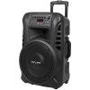 AZUSA Aktívny reproduktor (s 2 bezdrôtovými mikrofónmi, SD, Bluetooth, USB) 12