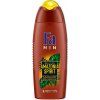 Fa sprchový gél Amazonia Spirit 250 ml 1 kus