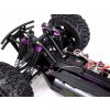Amewi CRAZIST MONSTER TRUCK BRUSHED 4WD RTR 1:10