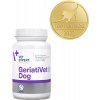 VetExpert GeriatiVet Dog 45 tbl.