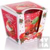 Bartek Candles Christmas Spices jablko a škorica Vonná sviečka 115g
