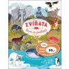 Zvířata, kam se podíváš - Alena Schulzová, Ivana Kocmanová, Olga Pohl