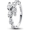 Pandora 193004C01