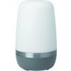 Blomus Prenosná stojaca lampa SPIRIT L, LED, teplá šedá