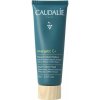 Caudalie Vinergetic C+ detoxikačná maska na tvár 75 ml