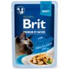 Brit Premium Cat Delicate Fillets in Gravy with Chicken 85 g