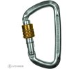 Climbing Technology D-shape Steel screw gate karabína, silver/gold
