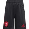 Šortky adidas Liverpool FC Away Shorts 2025/26 Jr jv6461 Veľkosť S (135-140 cm)