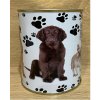 Pokladnička s motívom - pes