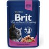 Brit Premium Cat kapsa with Salmon & Trout 100 g - 1Ks
