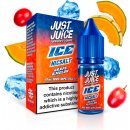 Just Juice Salt ICE Grape & Melon 10 ml 11 mg