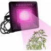 HIBRIGHT PROFI LED REFLEKTOR pre všetky rastliny, 50W, 220 V, ružová