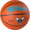 Wilson Team Alliance Charlotte Hornets
