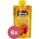 HAMÉ Ovocná desiata marhuľa 6 x 100 g