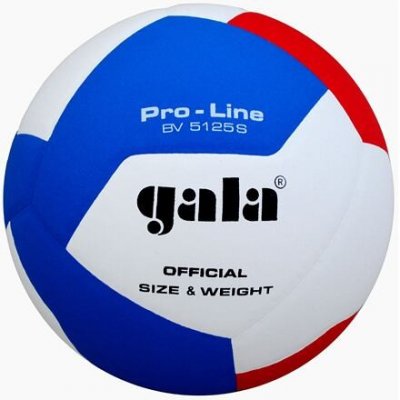 Gala BV5125S Pro-Line volejbalová lopta (č. 5)