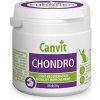 Canvit Chondro Cat 100 g