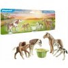 Playmobil 71000 Dva islandské kone so žriebätom