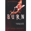 Julianna Baggott - Burn
