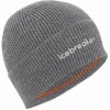 Zimná čiapka Icebreaker Unisex Merino All Day Toque Beanie - gritstone heather uni