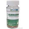 Plus Lékáreň Gurmarin Gymnema Sylvestre 250mg 60 kapsúl