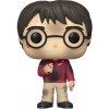 Funko POP: Harry Potter - Harry Potter (with The Stone) 10 cm