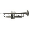 Latone LTR 800 Black Majesty Bb