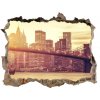 Fototapeta díra na zeď Manhattan new york city 95x64 cm