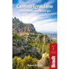 Camino Ignaciano (Murray Stewart)(Brožovaná)