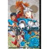 Viz Media Black Clover 12