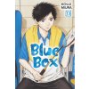 Blue Box, Vol. 13