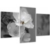 Čiernobiely obraz (Obraz 90x60cm)