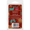 Starlytes Christmas Apple Cinnamon vonný vosk 12 ks