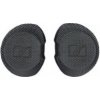 Sennheiser HD 800 dust protection