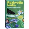 Agrostis Trávniky Letničková biodiverzitná zmes pre zelené strechy Hmotnosť: 500 g