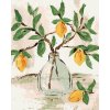 Diamondi Diamantové maľovanie - CITRÓNY VO VÁZE (HALEY BUSH) Rámovanie: vypnuté plátno na rám, Rozmer: 40x50 cm