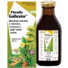 SALUS Floradix Gallexier