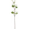 Konár Klematis 88cm biely 240827 - Umelé kvety