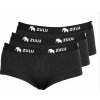 Zulu Dámske nohavičky Merino 160 BF 3pack čierna